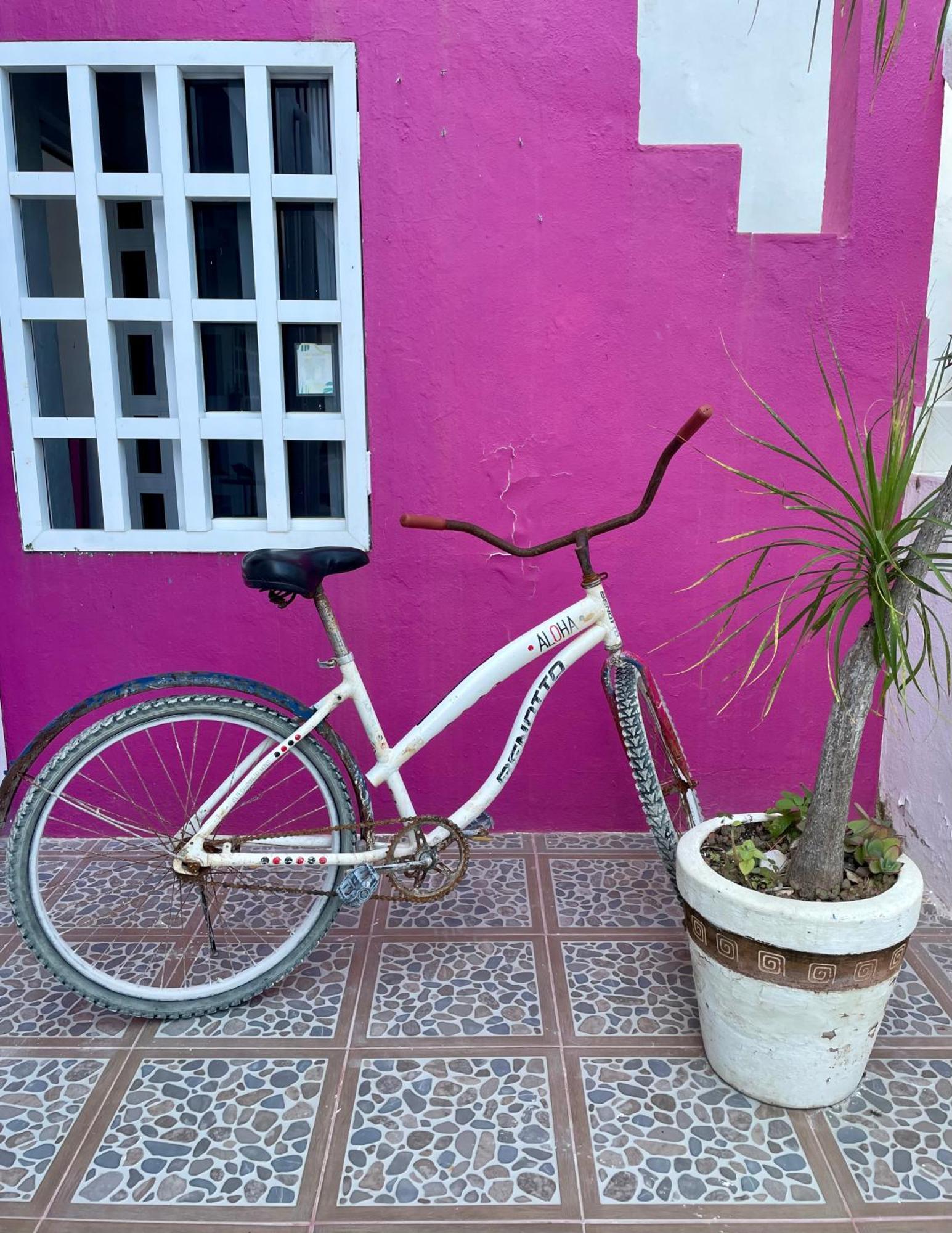 Pachamama Holbox - Hostel & Private Apartments Luaran gambar