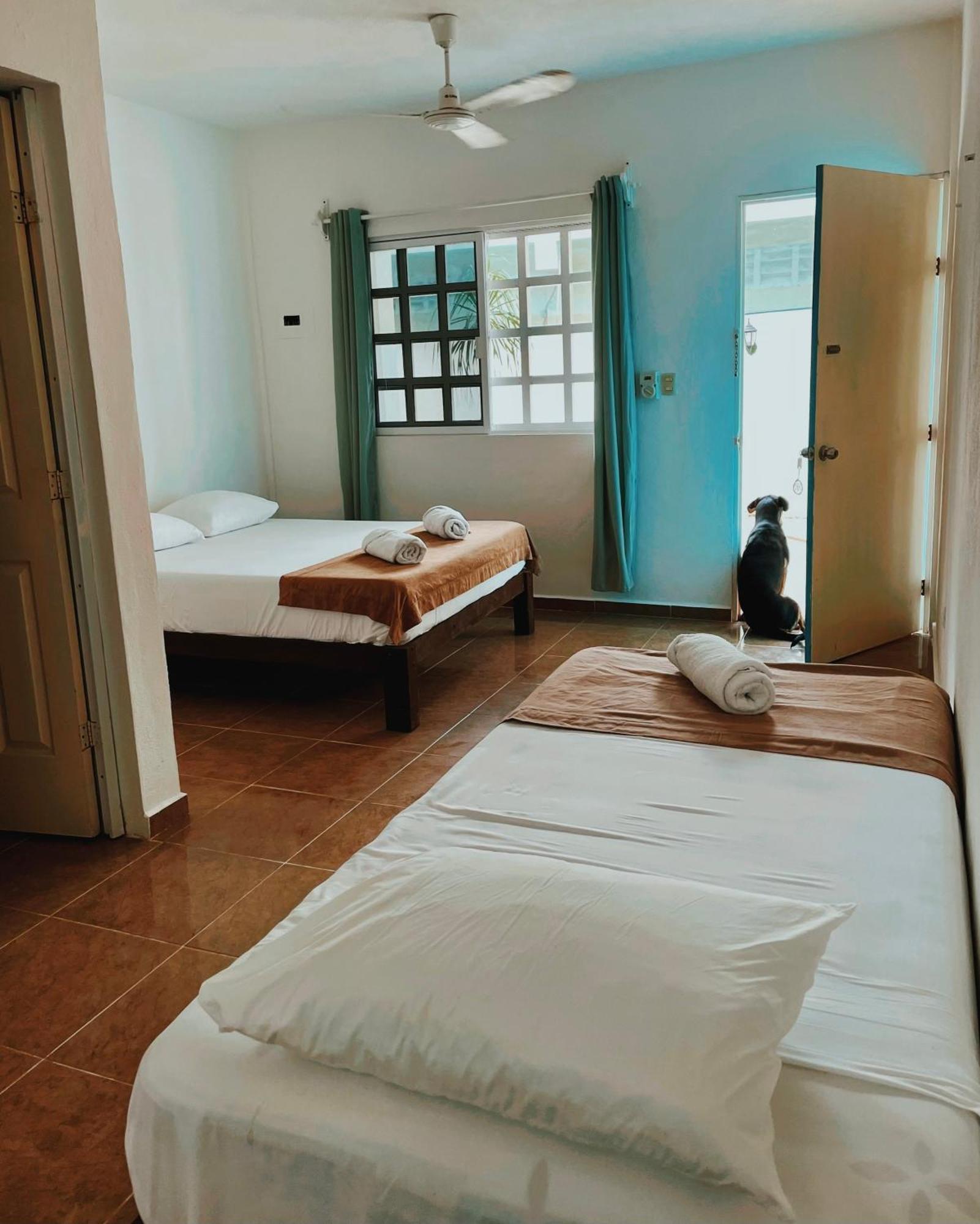 Pachamama Holbox - Hostel & Private Apartments Luaran gambar